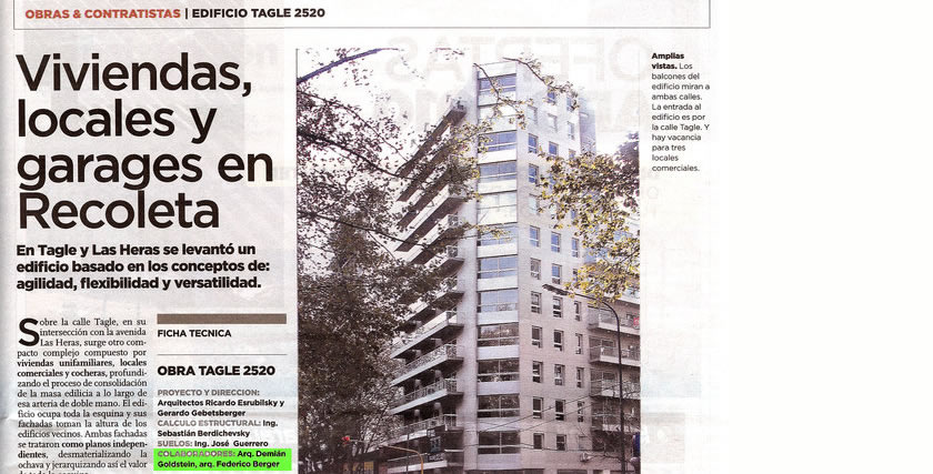Publicaciones - Demián S. Goldstein